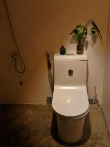a white toilet with a plant on top of it at Calamansi Garden - Full House Rental in Burgos