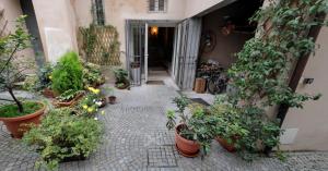 a courtyard with potted plants and a building at Domus Aurea in Saluzzo