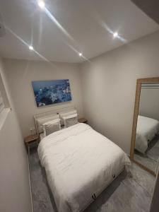 Postel nebo postele na pokoji v ubytování Montargis Apartment