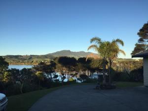 a driveway with a palm tree next to a lake at RAGLAN - FULLY self contained 1 bedroom in Raglan