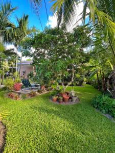 a garden with plants and trees in a yard at Beautiful Villa by the Beach in Nassau +6 photos