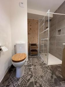 a bathroom with a toilet and a shower at La bâtisse de Coustouge in Coustouge +10 photos