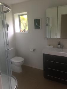 a bathroom with a toilet and a sink and a mirror at RAGLAN - FULLY self contained 1 bedroom in Raglan