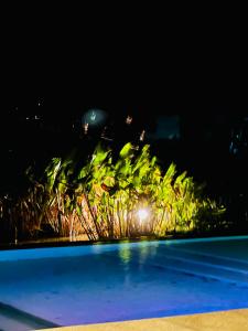 una vista di un giardino di notte con una luce di Pueblo Viejo La Palmira a Isla Itá Pyntá