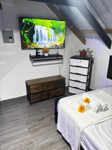a bedroom with two beds and a flat screen tv at Lovely tiny studio in Jarabacoa