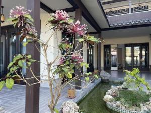 Сад в Lanyuan Xiaozhu-New Chinese Courtyard B&B