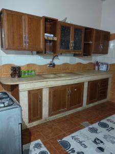 a kitchen with wooden cabinets and a sink at travel adventures 