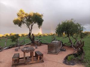 Ảnh trong thư viện ảnh của Chobe Hideaway Campsite ở Kasinka +23 ảnh