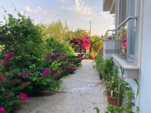 Zahrada ubytování Dalaman Pansiyon & Family rooms