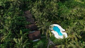 an aerial view of a pool in the middle of a forest at Crystal Bay Villa in Nusa Penida