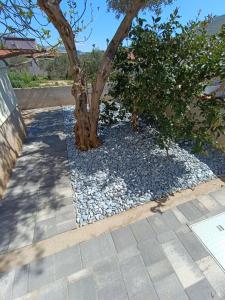 Fotografie z fotogalerie ubytování Apartments Jurkovic v destinaci Grebaštica