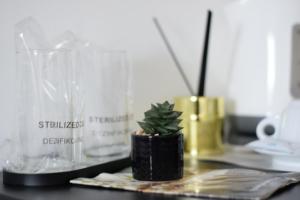 Fotografie z fotogalerie ubytování Hotel Tiski Cvet v destinaci Novi Bečej