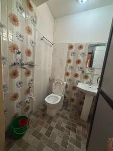 a bathroom with a toilet and a sink at Hotel Fewa Lake View in Pokhara