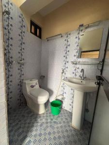 a bathroom with a toilet and a sink at Hotel Fewa Lake View in Pokhara
