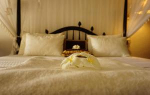 Katil atau katil-katil dalam bilik di Rest House Matara