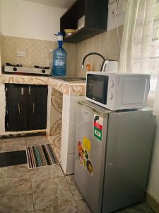 een magnetron bovenop een koelkast in een keuken bij Serenity Eusy Diani in Ukunda +3 foto's