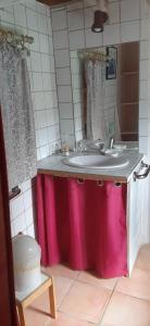a bathroom with a pink sink and a mirror at Le MàS du Plot in Sablières +13 photos
