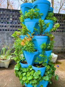 Taman di luar Containers by Eco Hotels