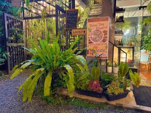 Taman di luar Containers by Eco Hotels