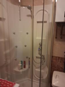 un bagno con doccia e WC di Apartma Cipresa a Rogatec
