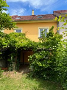 Zahrada ubytování Domov pro 8 hostů ve městě Karlovy Vary