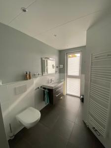 ein Badezimmer mit Toilette und Waschbecken in der Unterkunft Ferienhaus im Villenpark Scharendijke in Scharendijke + 14 Fotos