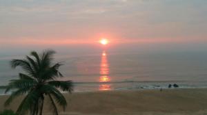 Природа в окрестностях гостевого дома