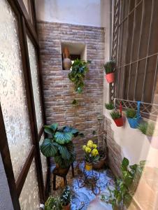 una habitación con macetas en una pared de ladrillo en Casa di Leda 2, en Cagliari
