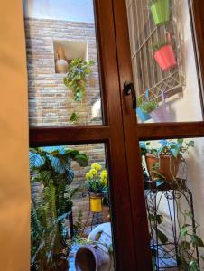 una ventana con vistas a un jardín con plantas en Casa di Leda 2, en Cagliari