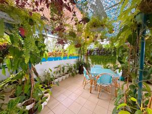 Vrt ispred objekta Cabins by Eco Hotels