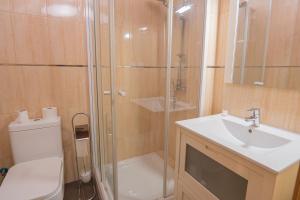 ein Badezimmer mit Dusche, Toilette und Waschbecken in der Unterkunft El Arco de Villahoz in Villahoz + 27 Fotos