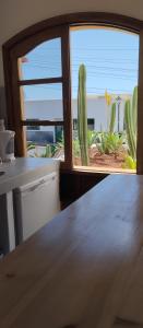 a kitchen with a large window with a cactus outside at Chic and basic apartments in Tahiche in Tahiche +178 photos