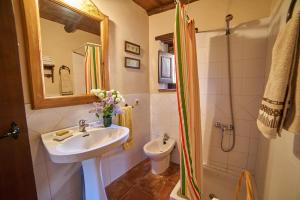 フエンテエリドスにあるNavalgatos de El Tragaluzの洗面台、シャワー、トイレ付きのバスルーム