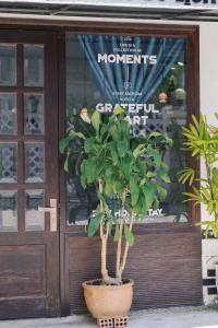 Fotografie z fotogalerie ubytování BKV Homestay v destinaci Da Lat