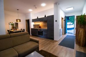 a living room with a couch and a kitchen at Apartments Villa Prod in Ljubljana