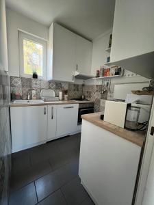 Kuchyňa alebo kuchynka v ubytovaní Pellegrini Apartman