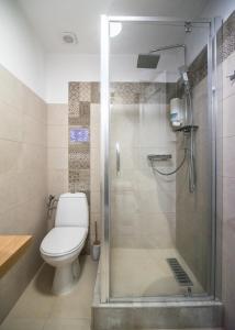 un baño con inodoro y ducha en MAGIC HOUSE BRASOV, en Brasov