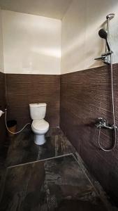 a bathroom with a toilet and a shower at Seaview Mansion Apartment 1 in Dalaguete +15 photos