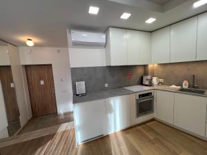 Η κουζίνα ή μικρή κουζίνα στο Happy Holiday Apartment +12 φωτογραφίες