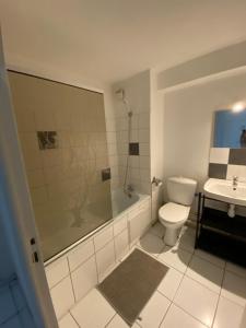 a bathroom with a toilet and a shower and a sink at Escala Tolosa in Toulouse +25 photos