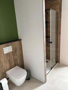 a bathroom with a toilet and a shower at Appartement plein coeur de ville in Fontenay-le-Comte +3 photos