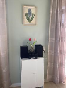 Fotografie z fotogalerie ubytování De Sas in Lisse v destinaci Lisse