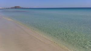 Φυσικό τοπίο κοντά σε αυτό το διαμέρισμα