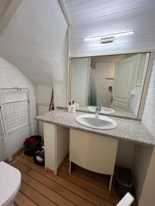 PoilhèsにあるMaison de ville, Canal du Midiの洗面台と鏡のあるバスルーム