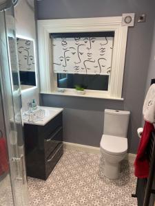 a bathroom with a toilet and a sink and a window at Laurel cottage in Omagh +29 photos
