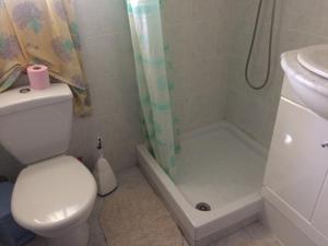 a bathroom with a toilet and a shower and a sink at Chez Laurette in Mirabel-aux-Baronnies