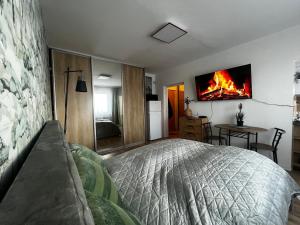 a bedroom with a bed and a tv on the wall at Apartmán MEDIK in Martin