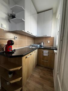 Kuchyň nebo kuchyňský kout v ubytování Apartmán MEDIK