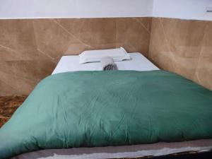 Postel nebo postele na pokoji v ubytování Kishan's Hostel