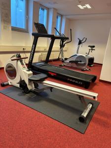 Fitness centrum a/nebo fitness zařízení v ubytování Die Wolfsburg